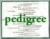 Pocket's Pedigree 